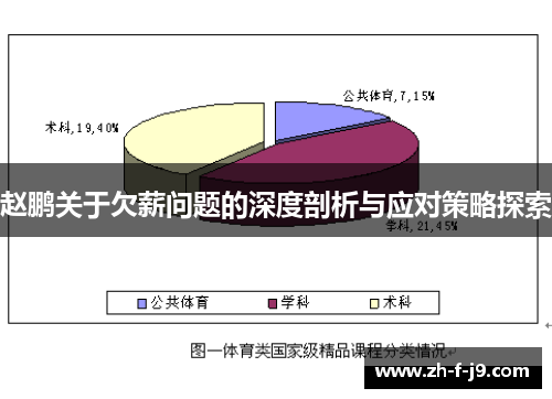 赵鹏关于欠薪问题的深度剖析与应对策略探索