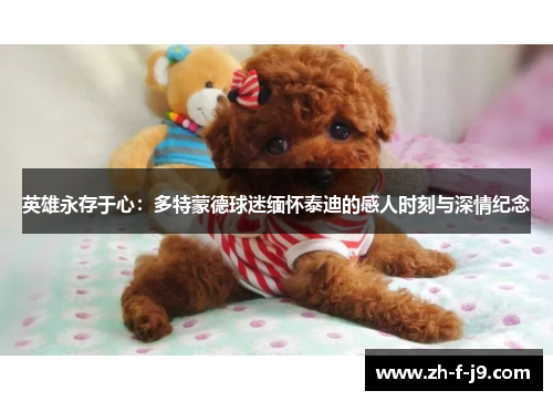 英雄永存于心：多特蒙德球迷缅怀泰迪的感人时刻与深情纪念